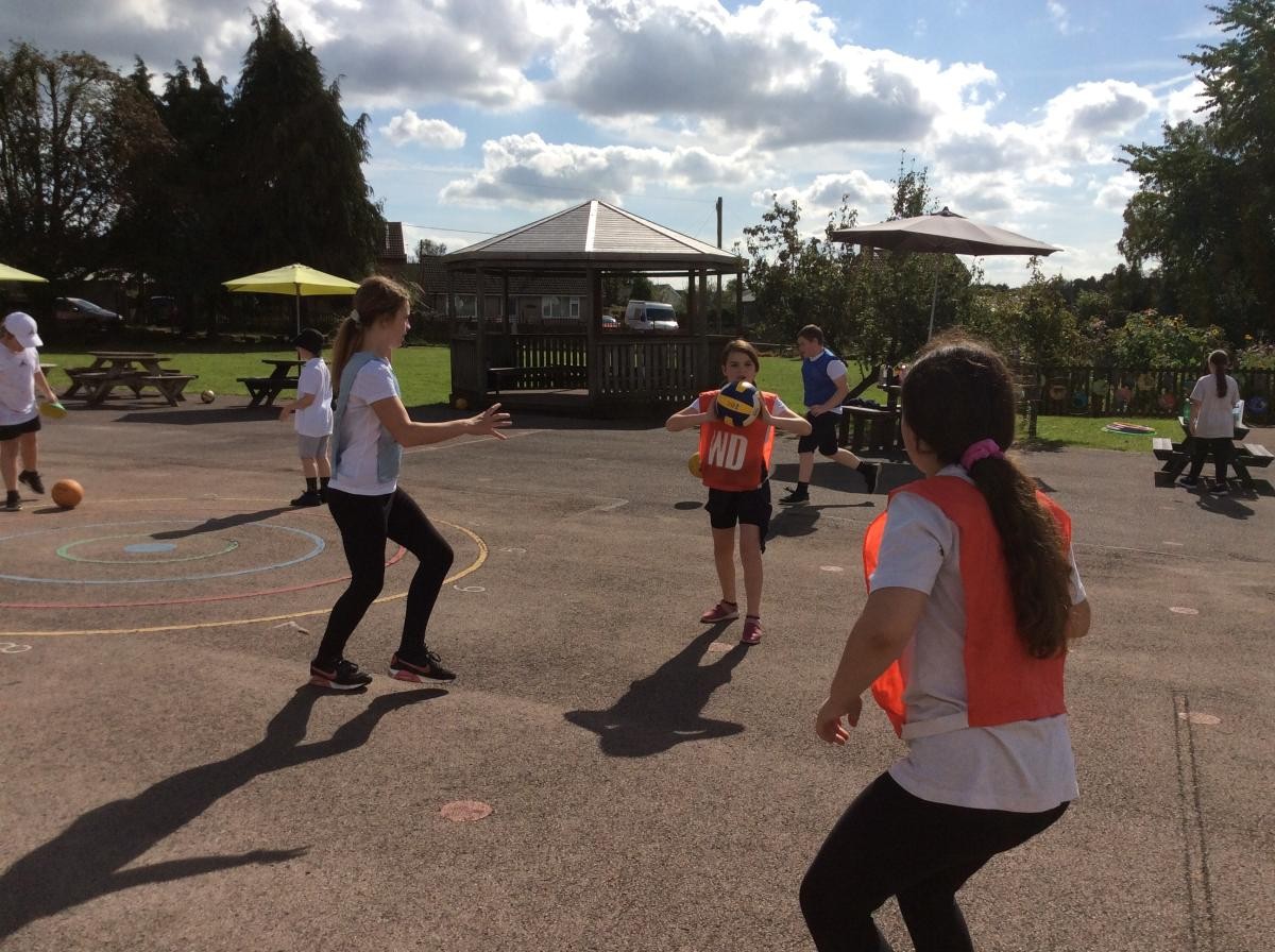Willow - Netball