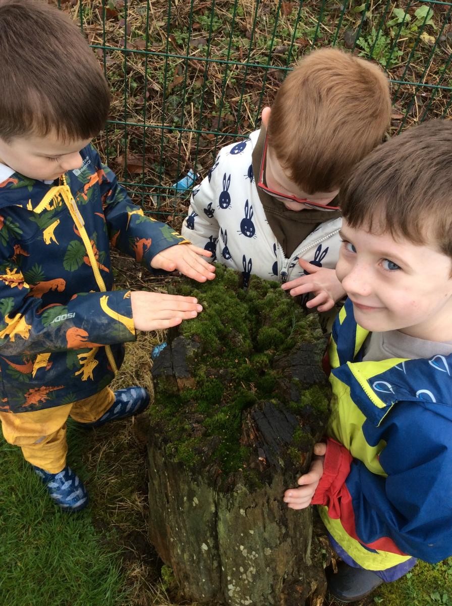 Spotting micro habitats.