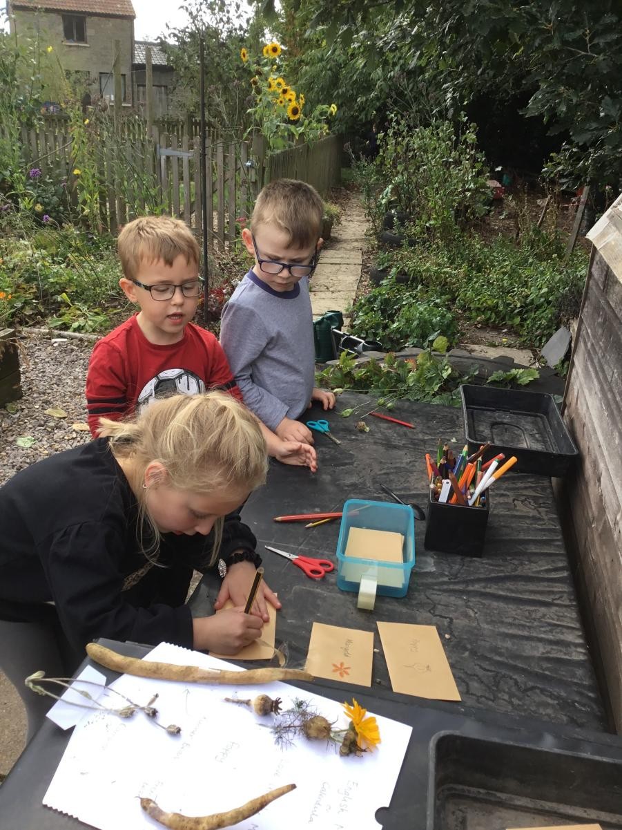 We collected and labelled seeds.