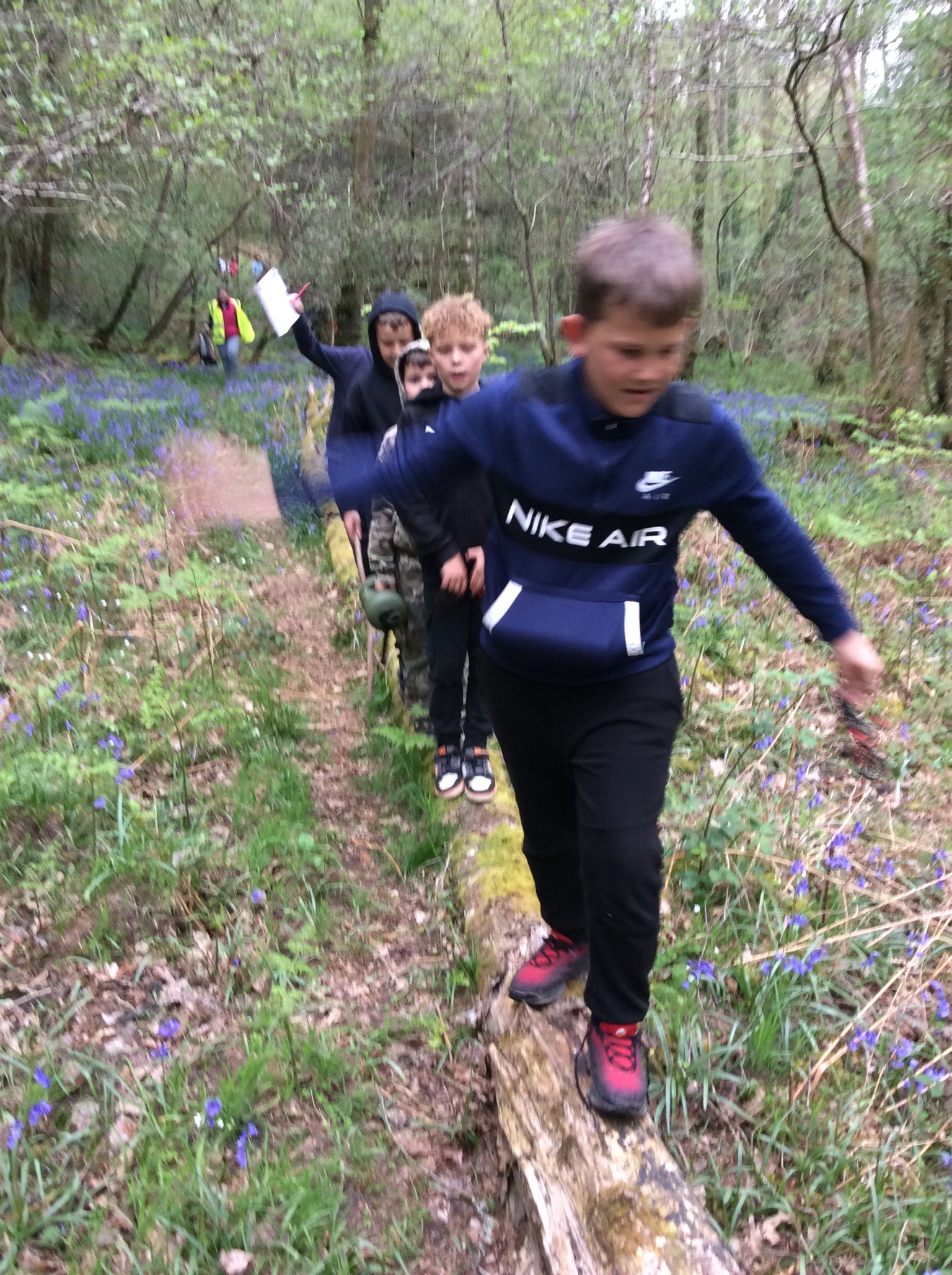Summer 1 Forest school fun with Mrs Rees, Mrs Sheppard, and our fabulous parent volunteers.