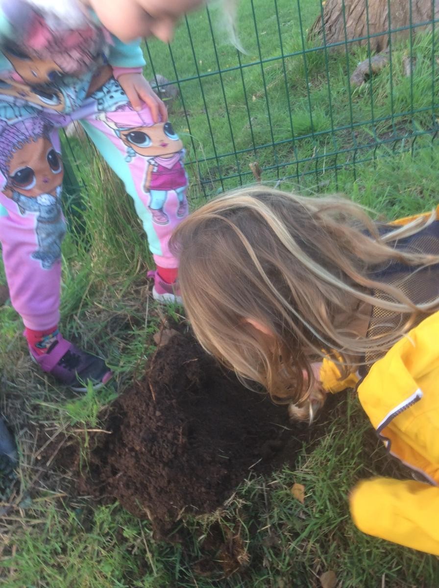 We know that planting trees and flowers are good for the environment. 