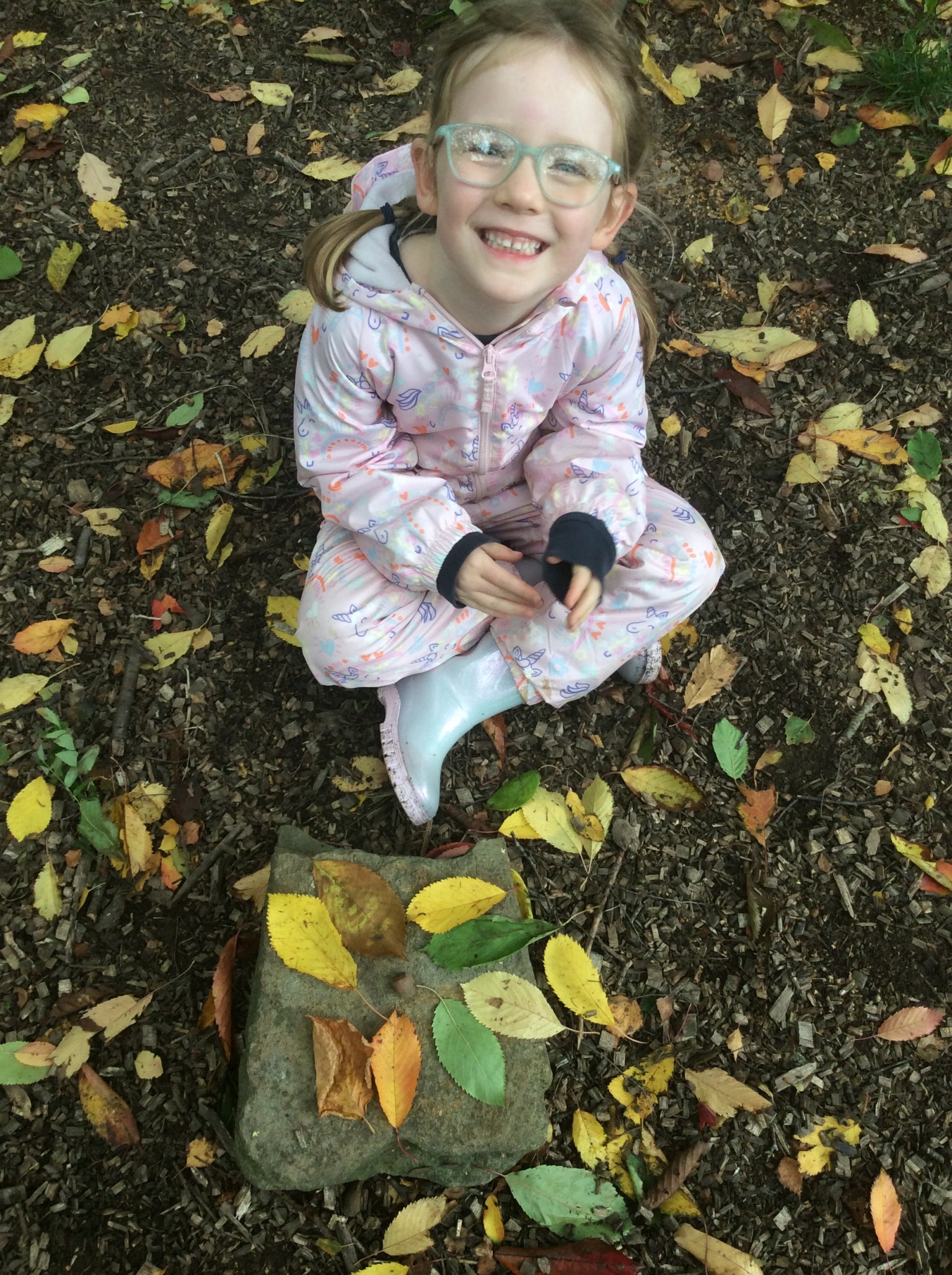 Forest Adventures