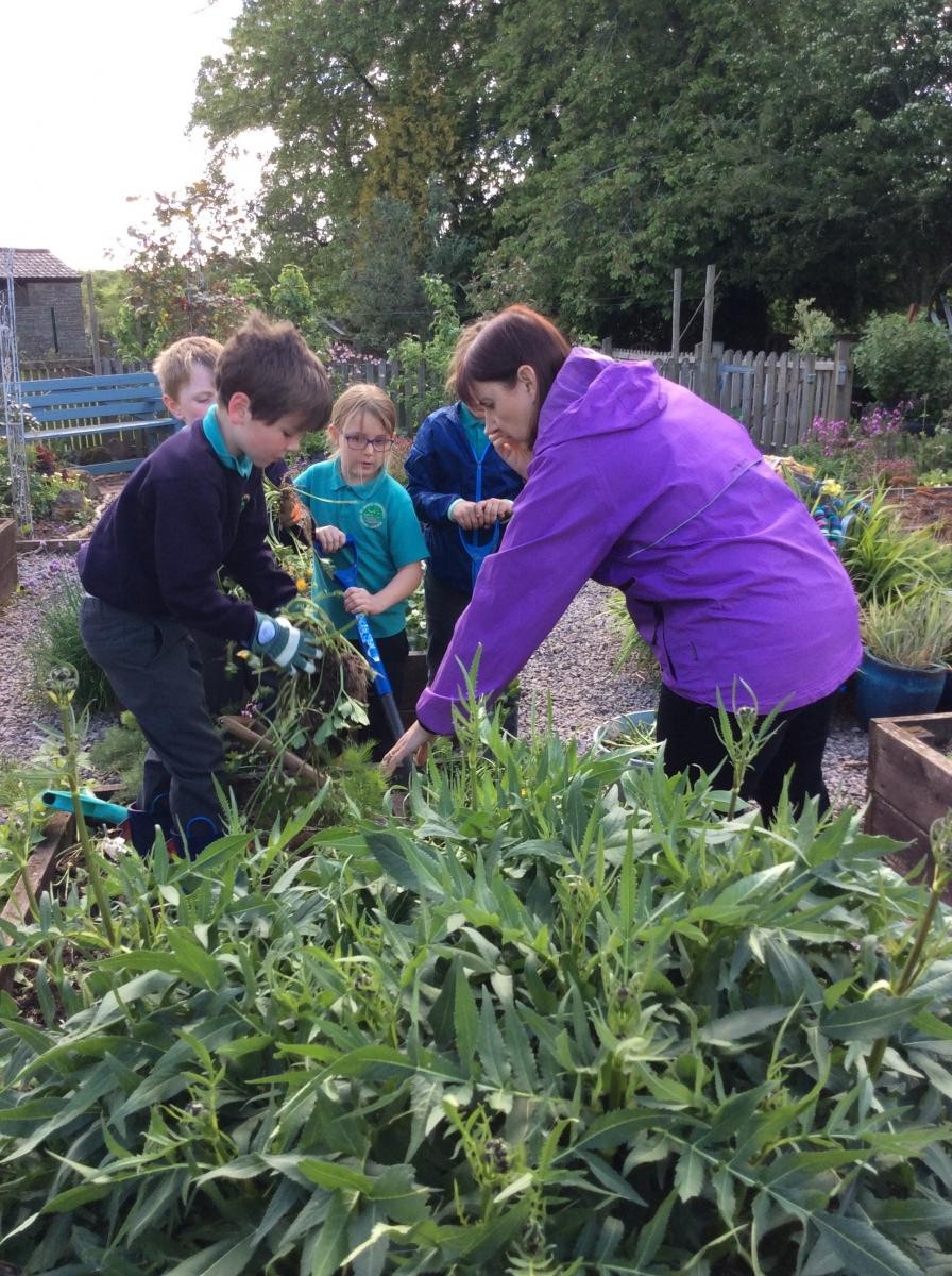 Clearing and weeding