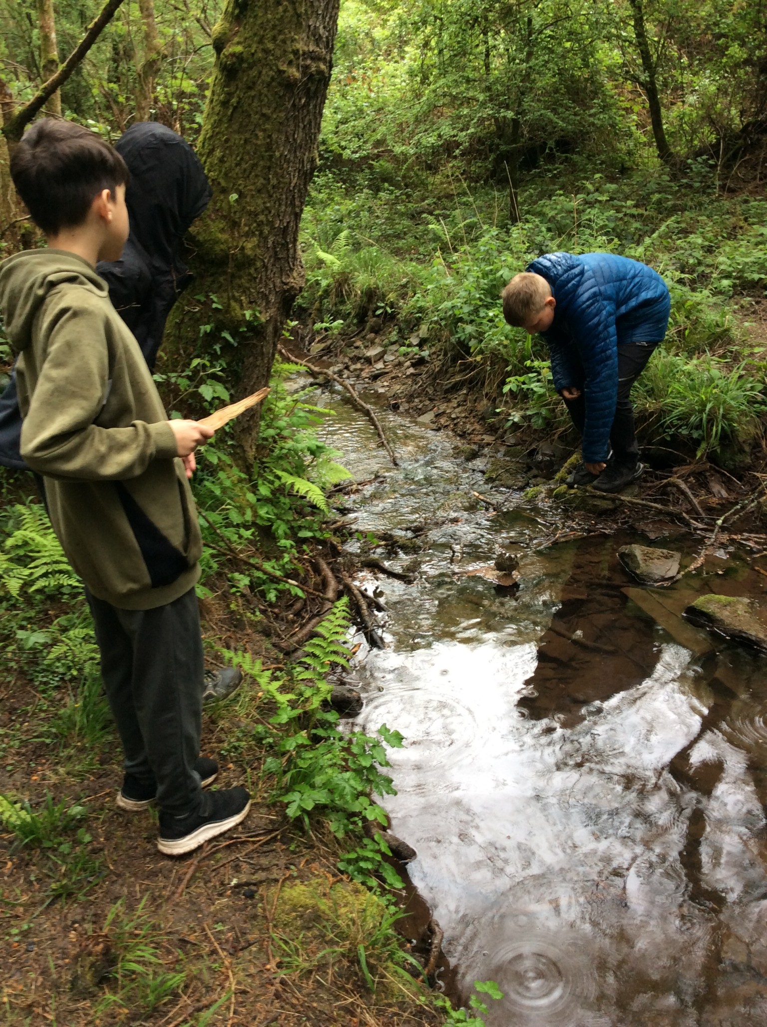 Summer 1 Forest school fun with Mrs Rees, Mrs Sheppard, and our fabulous parent volunteers.