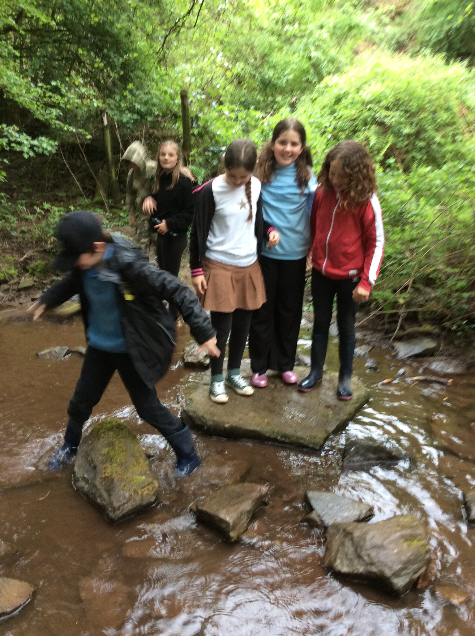 Summer 1 Forest school fun with Mrs Rees, Mrs Sheppard, and our fabulous parent volunteers.