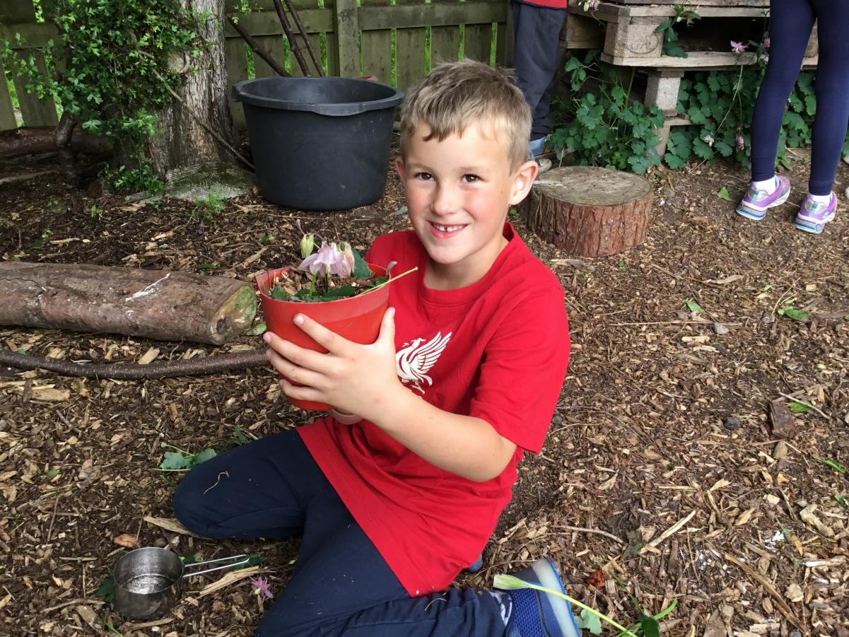 We planted flowers to celebrate the coronation. 