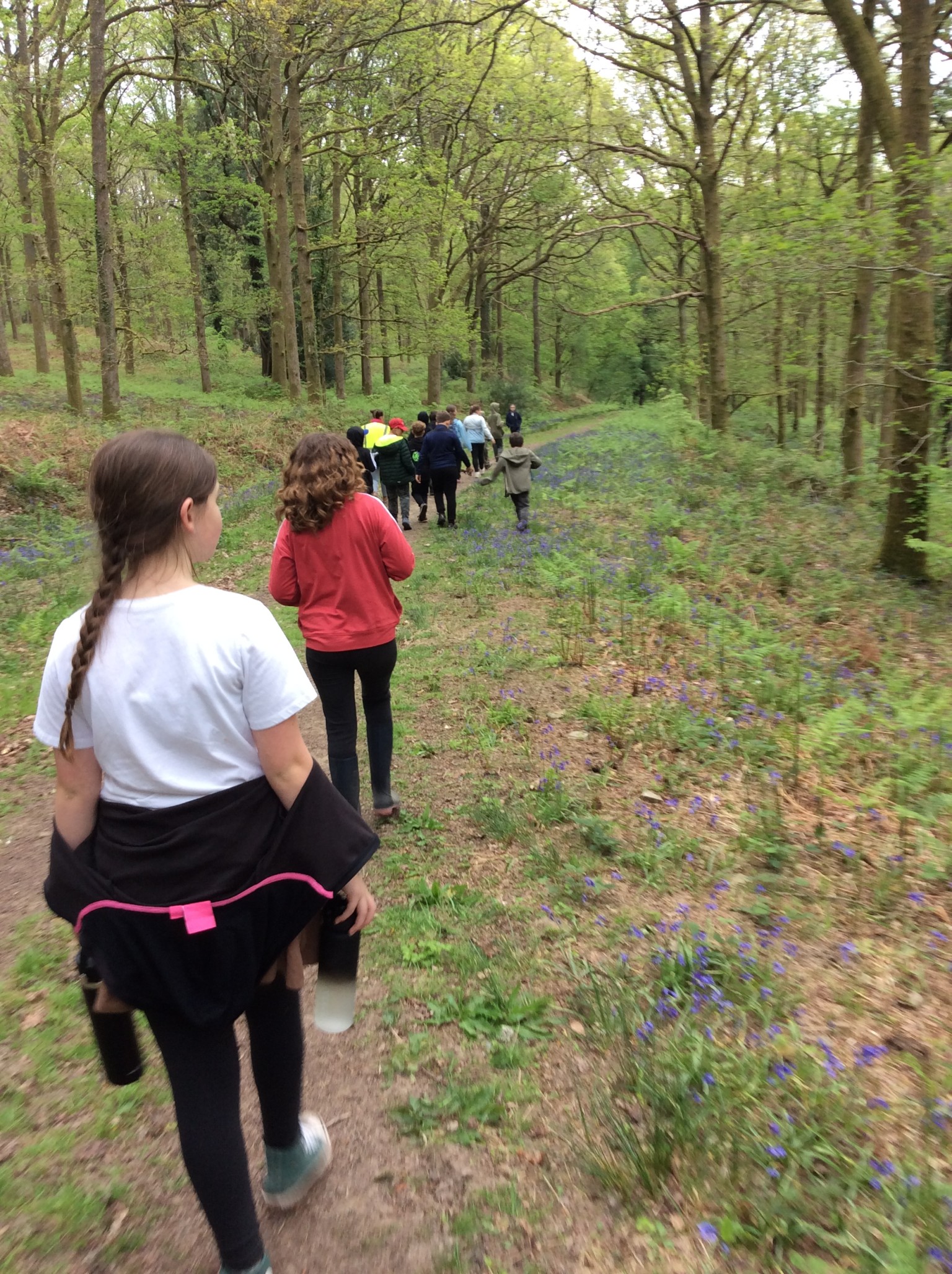 Summer 1 Forest school fun with Mrs Rees, Mrs Sheppard, and our fabulous parent volunteers.
