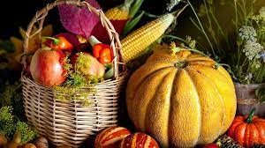 We collect food for the local bank.