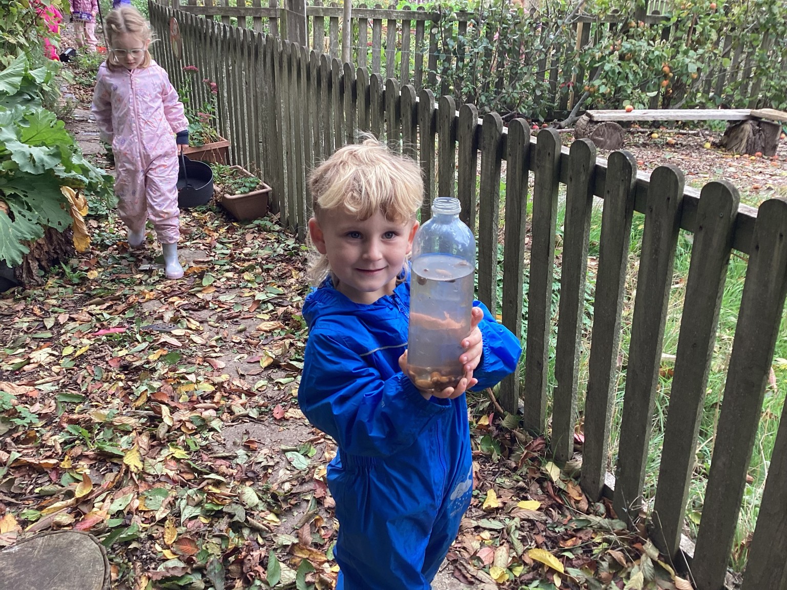 Forest Adventures