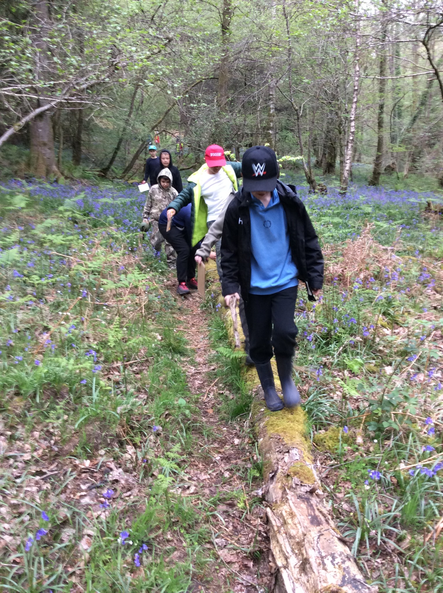Summer 1 Forest school fun with Mrs Rees, Mrs Sheppard, and our fabulous parent volunteers.
