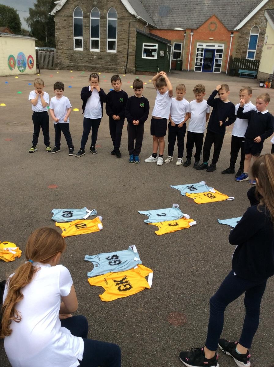 Sycamore - Netball