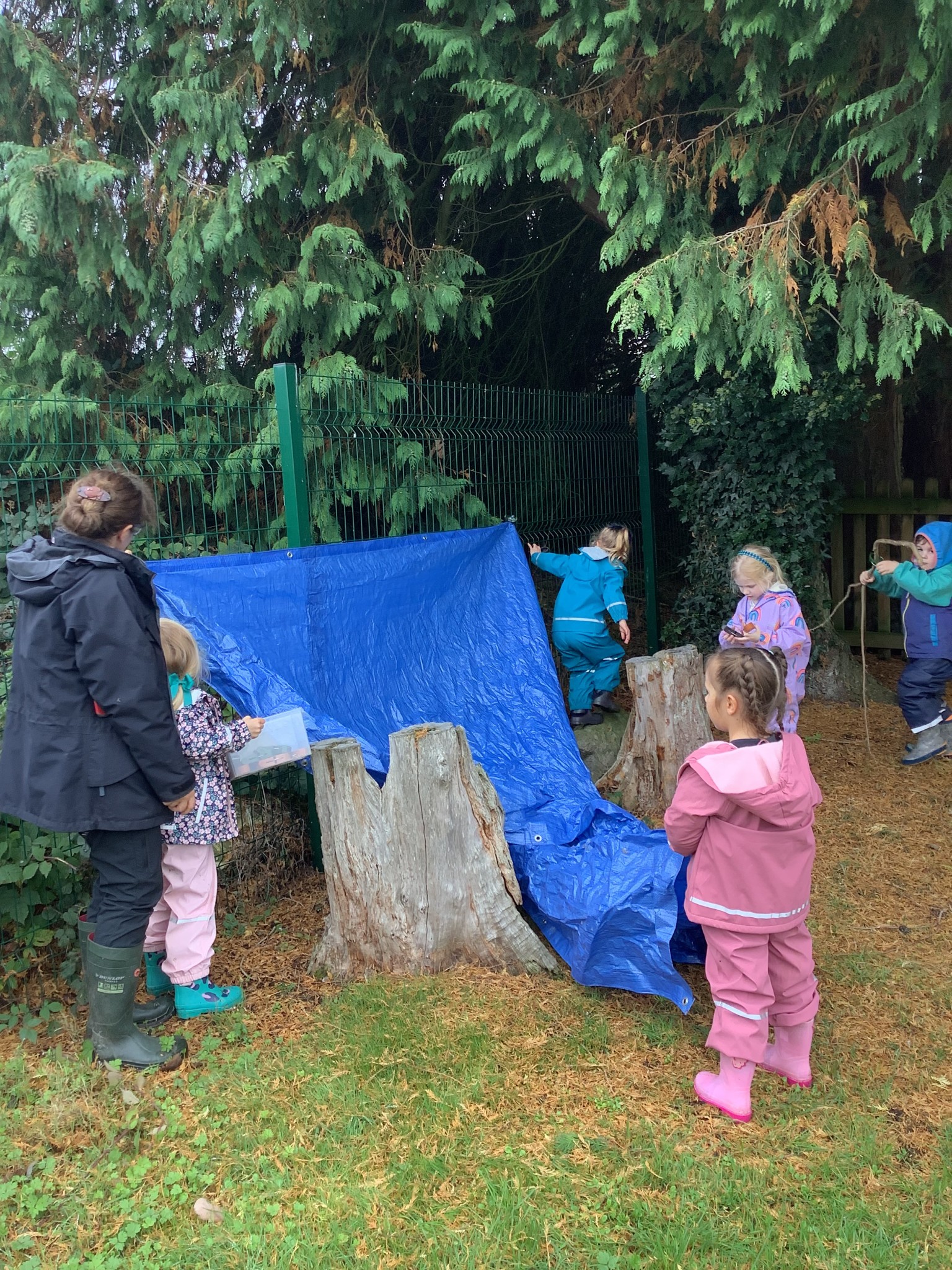 Forest Adventures