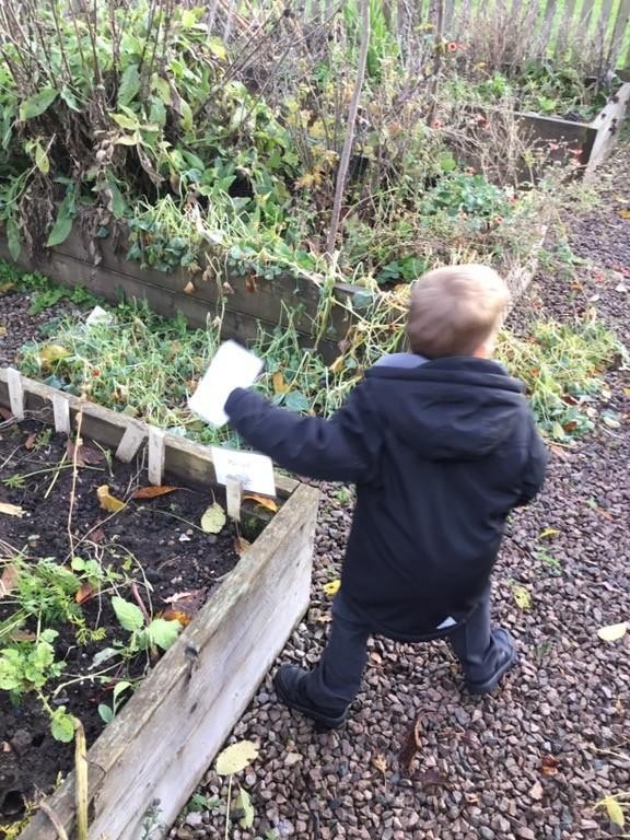 Outdoor Learning Phonics Activities (Reception)