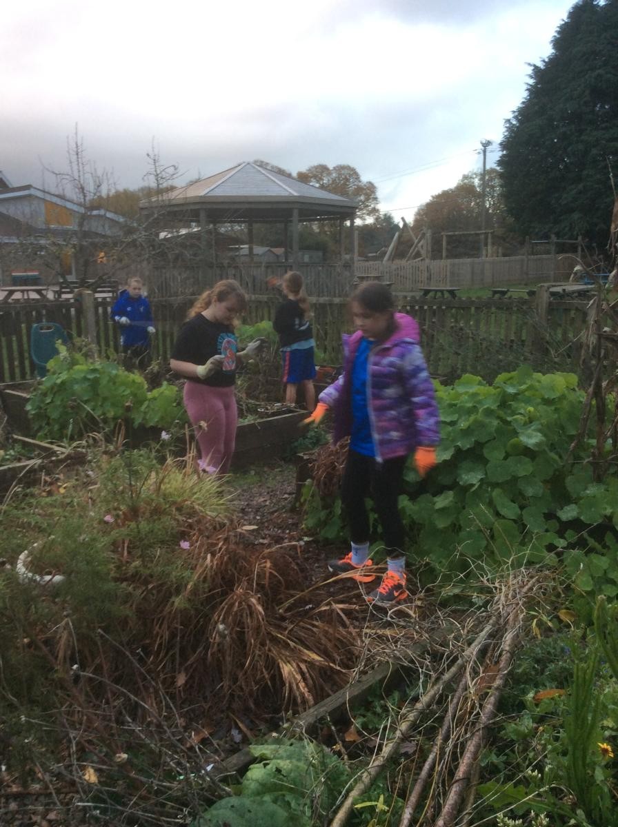 We cleared debris from the path and made a pile for creatures to overwinter.  (24.11.22)