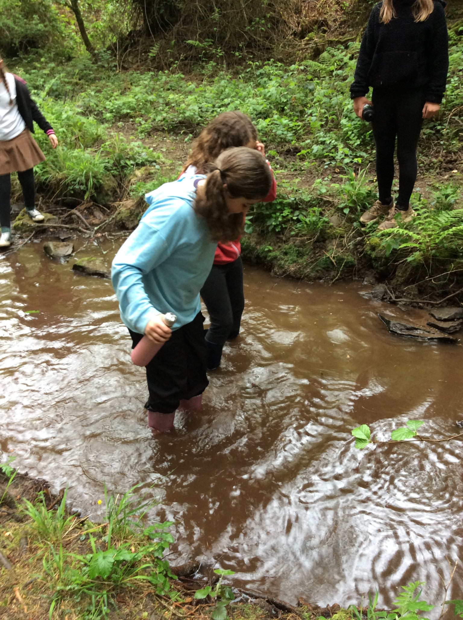 Summer 1 Forest school fun with Mrs Rees, Mrs Sheppard, and our fabulous parent volunteers.