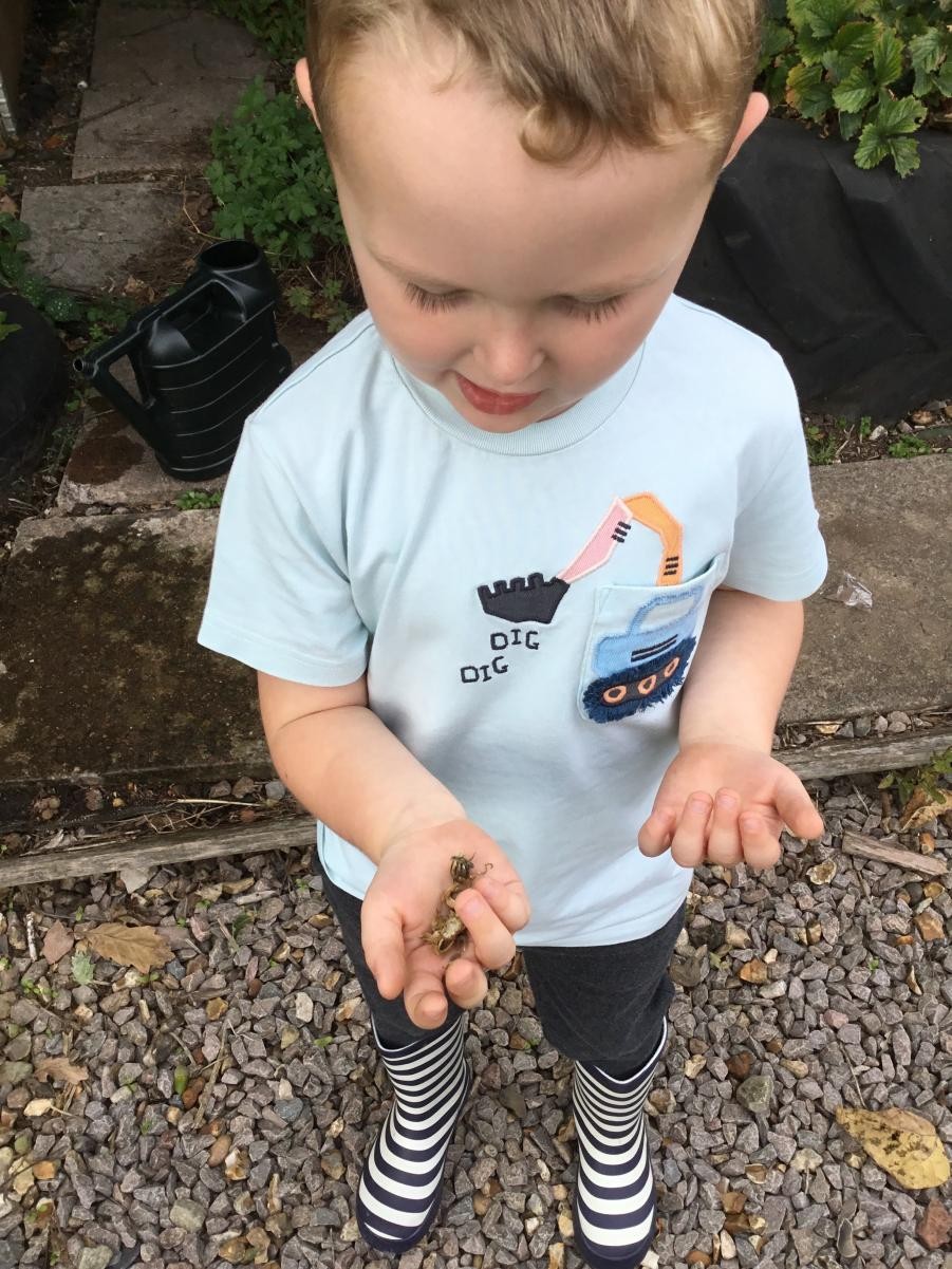 Finding seeds and seed cases.