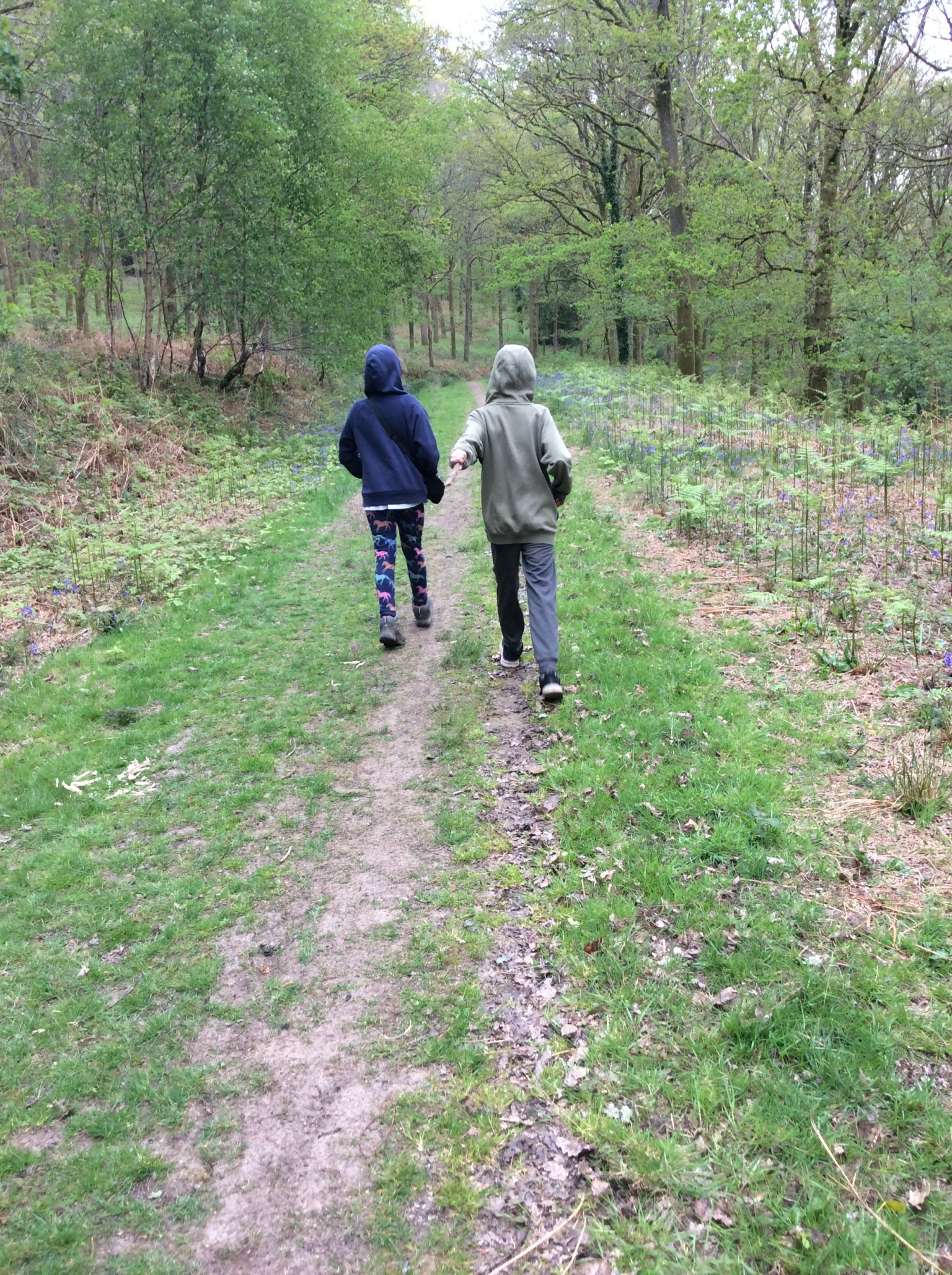 Summer 1 Forest school fun with Mrs Rees, Mrs Sheppard, and our fabulous parent volunteers.