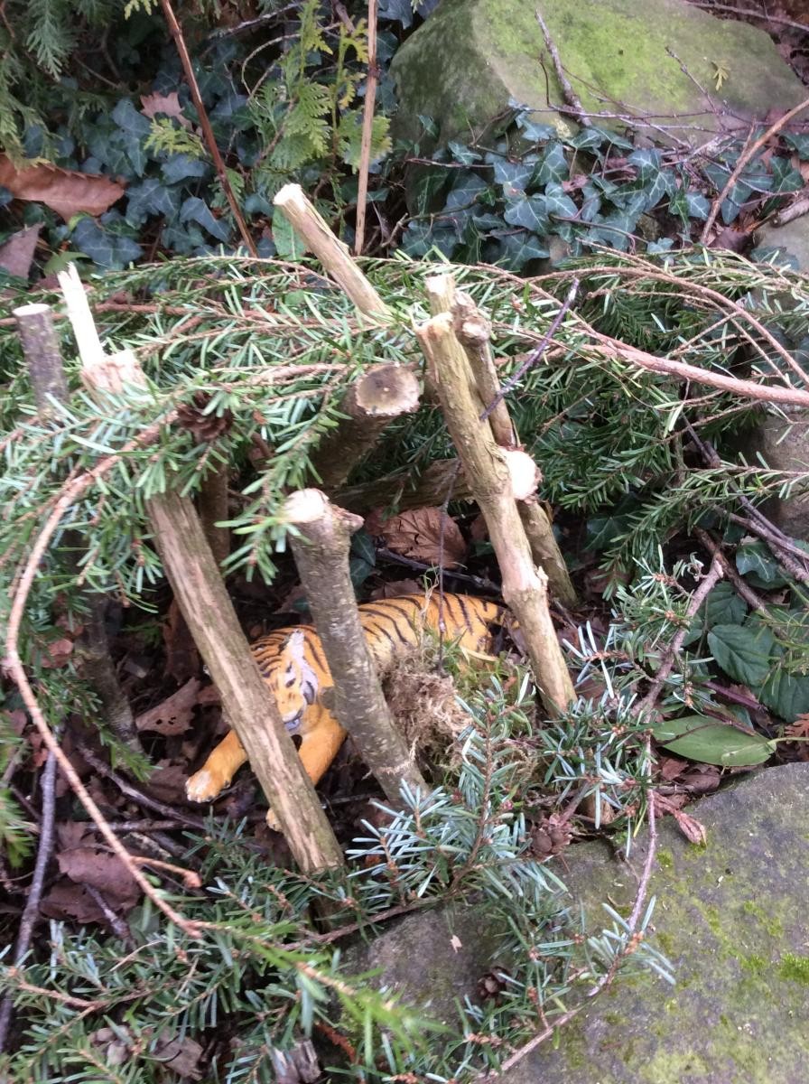 We read the story ' Bear's Winter House" Mini dens 