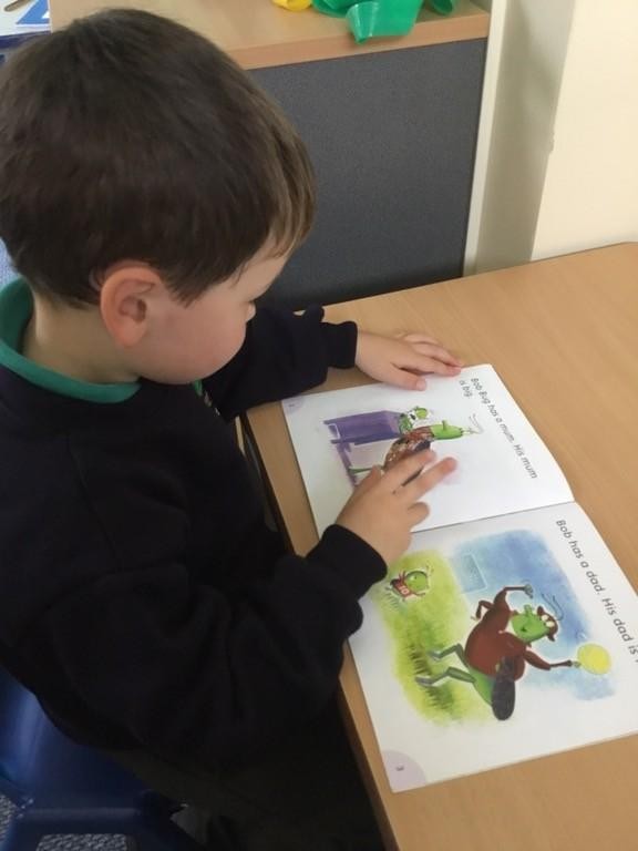 Individual Reading (Reception)