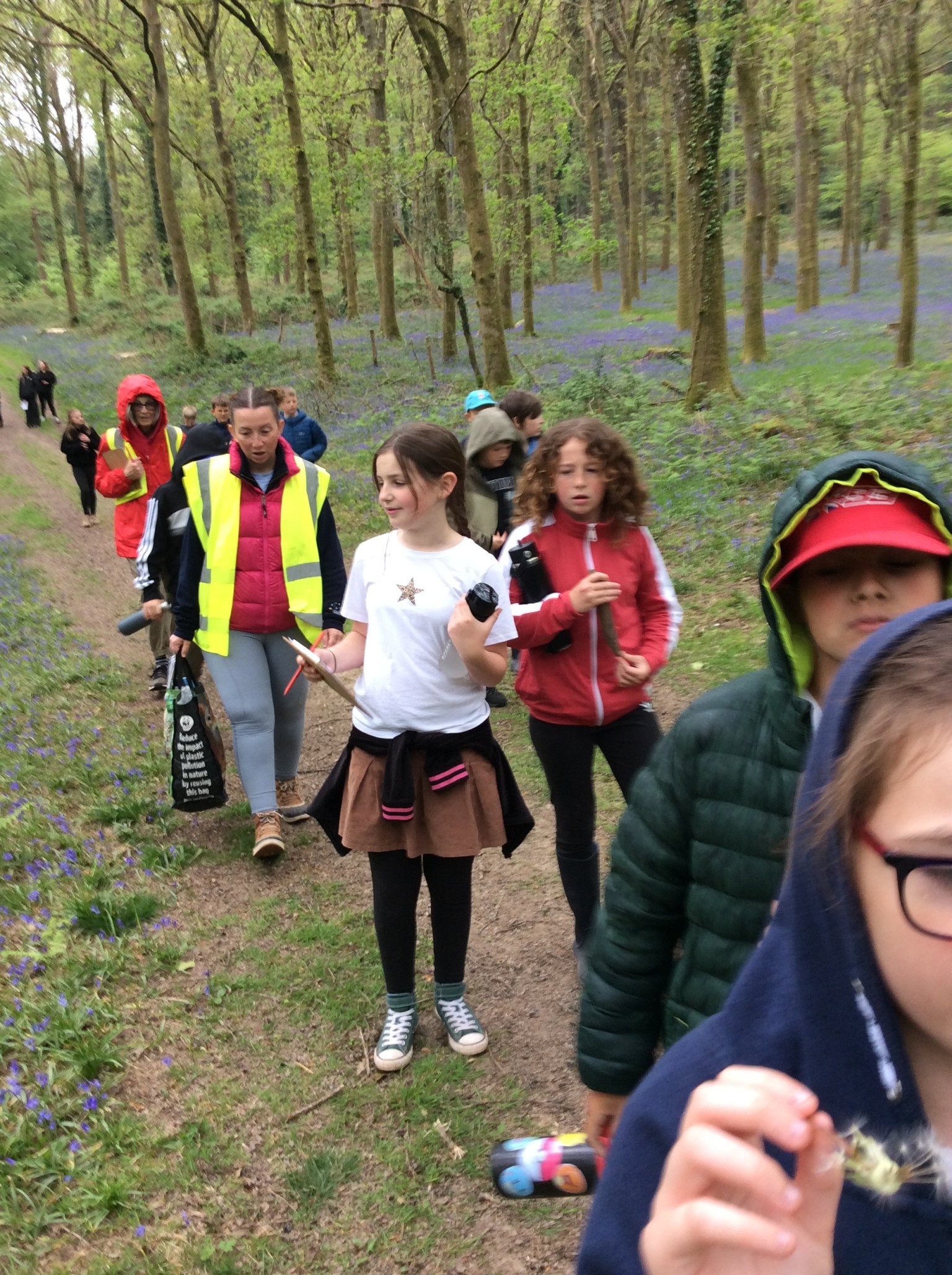 Summer 1 Forest school fun with Mrs Rees, Mrs Sheppard, and our fabulous parent volunteers.