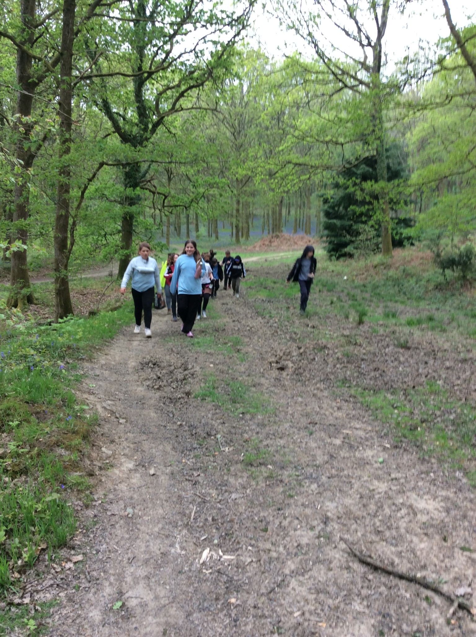 Summer 1 Forest school fun with Mrs Rees, Mrs Sheppard, and our fabulous parent volunteers.