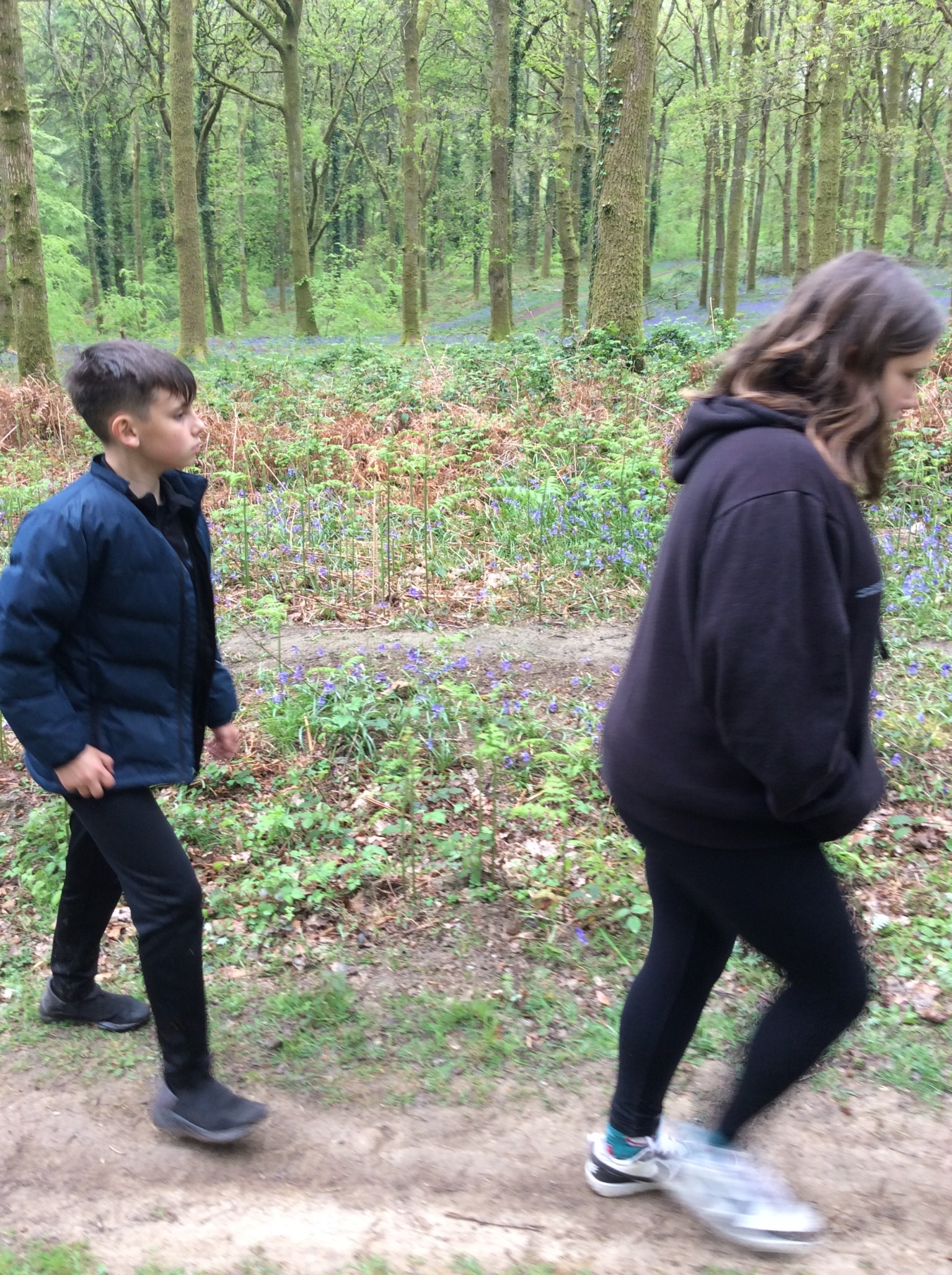 Summer 1 Forest school fun with Mrs Rees, Mrs Sheppard, and our fabulous parent volunteers.