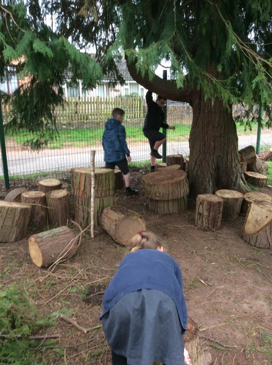 The replacement fence made a mess of our log den so some of the children redeveloped it.