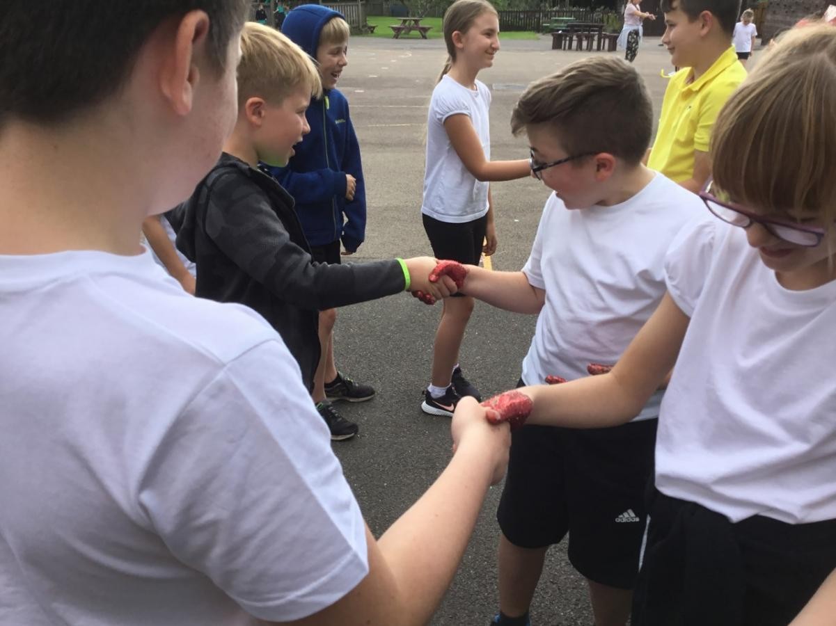 Hand hygiene - learning about the spread of harmful microbes. 