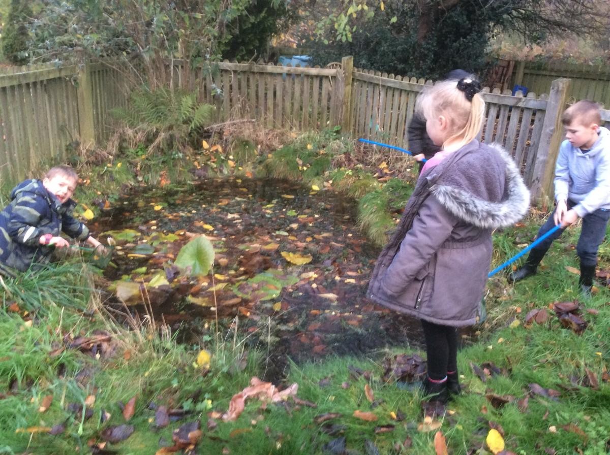 On our last Eco Club we cleared leaves from the pond to aid the water quality. (24.11.22)