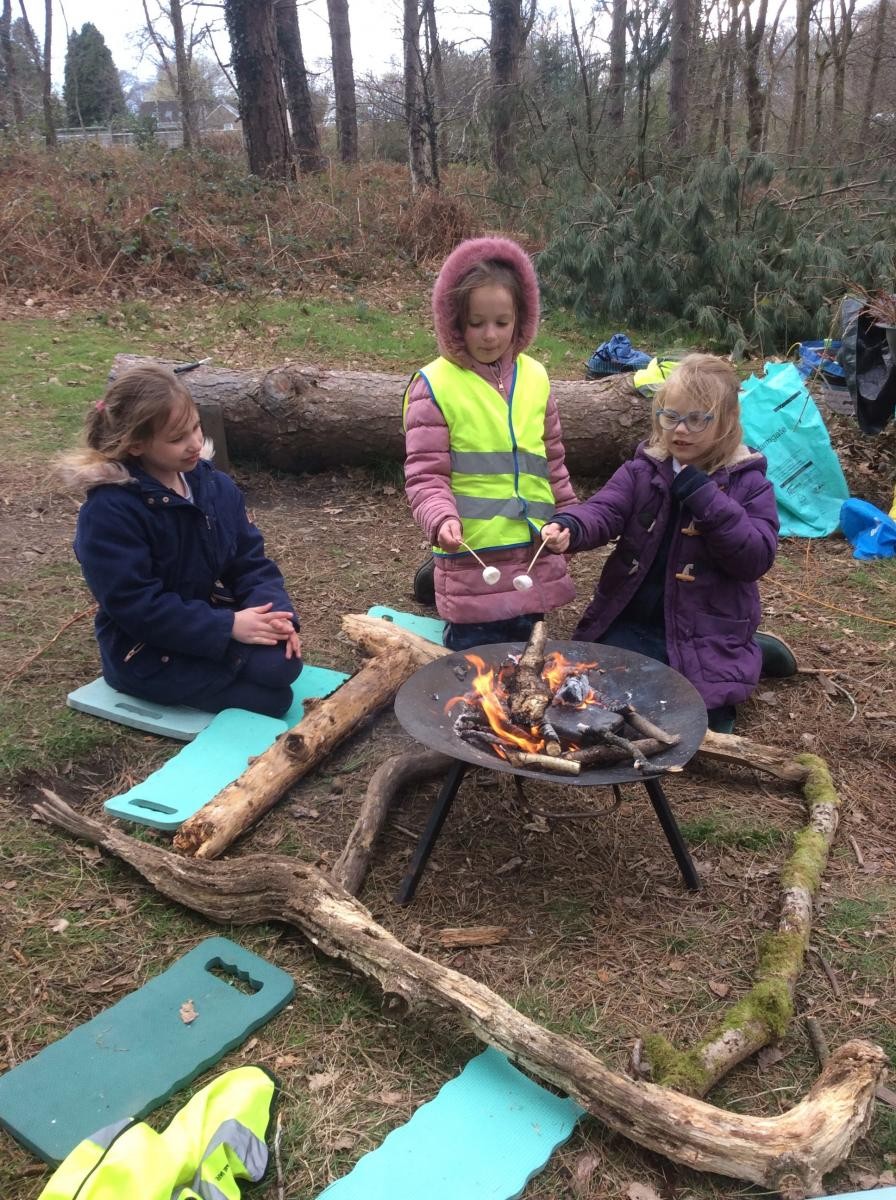 Toasting marshmallows