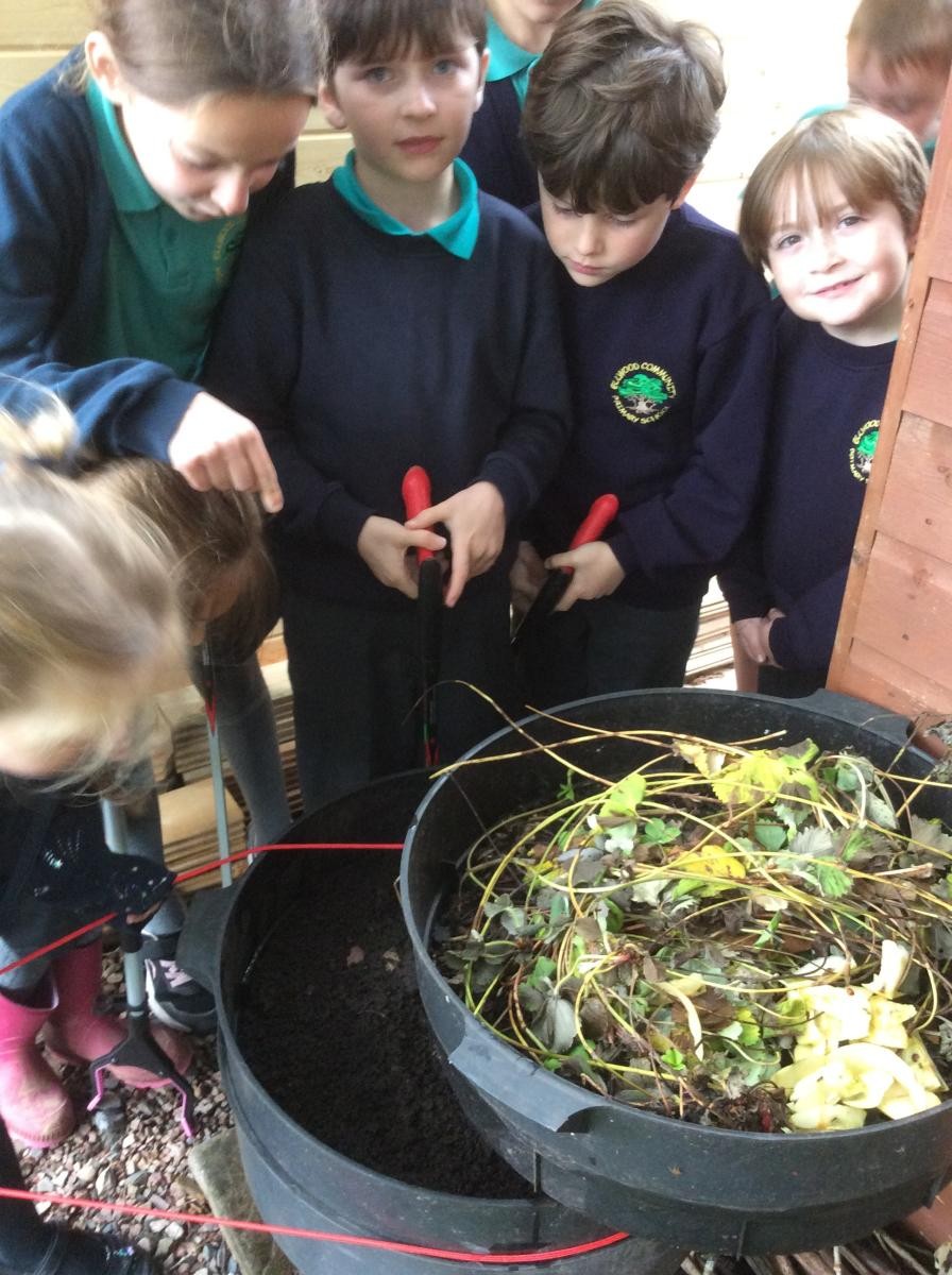 Checking on our wormery