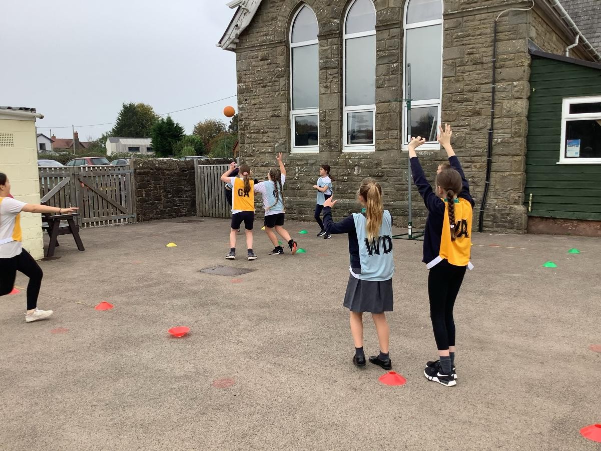 Willow - Netball