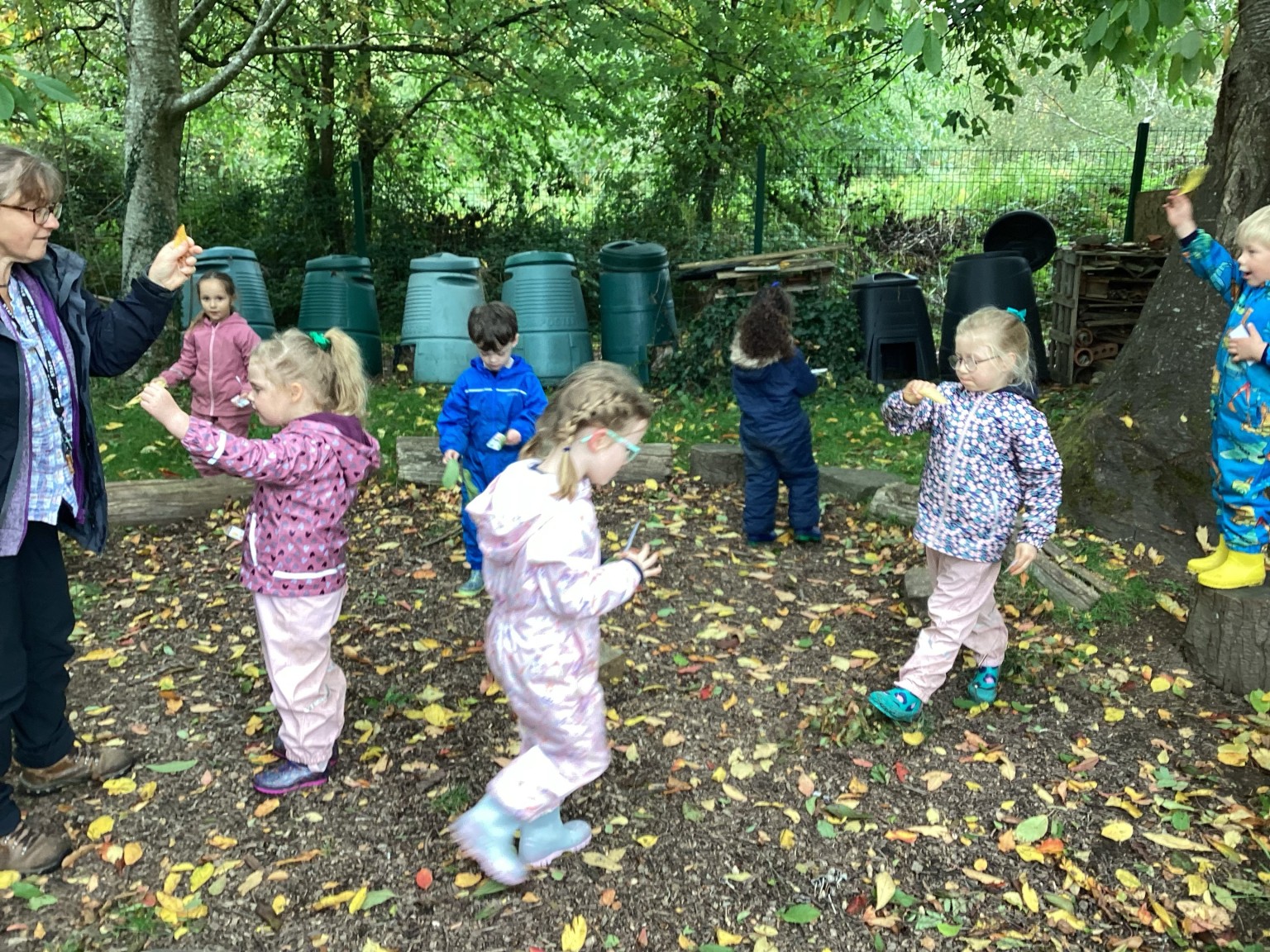 Forest Adventures