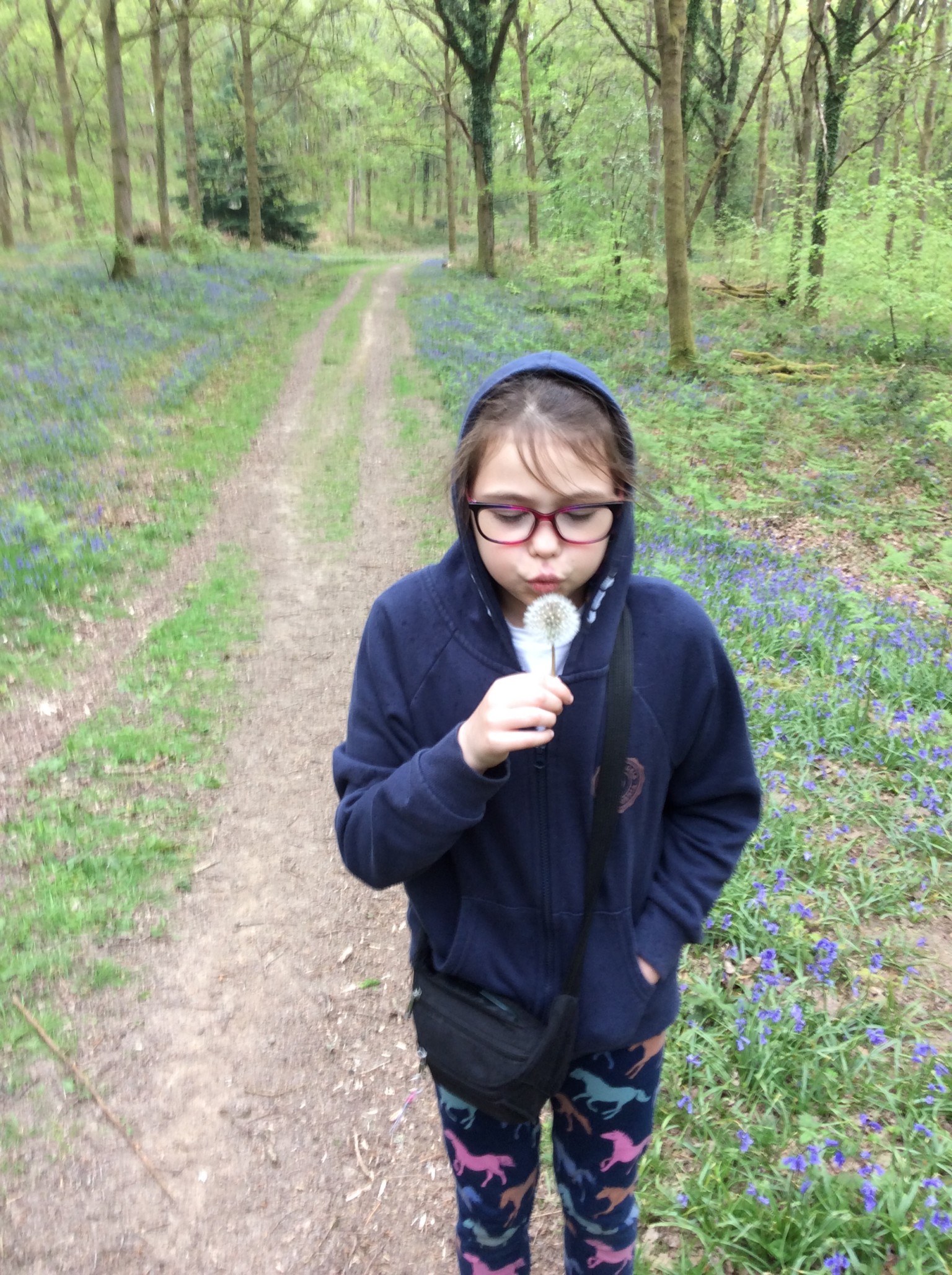 Summer 1 Forest school fun with Mrs Rees, Mrs Sheppard, and our fabulous parent volunteers.
