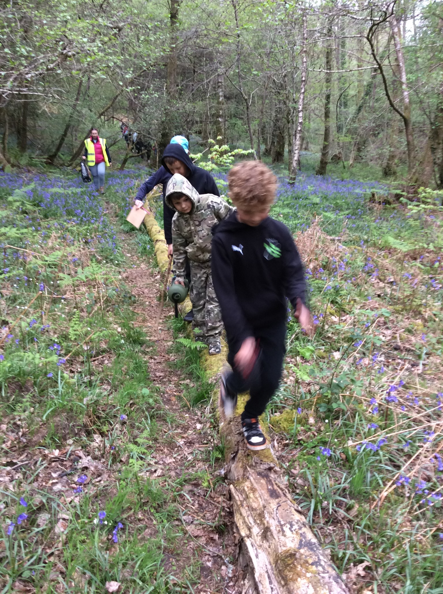 Summer 1 Forest school fun with Mrs Rees, Mrs Sheppard, and our fabulous parent volunteers.