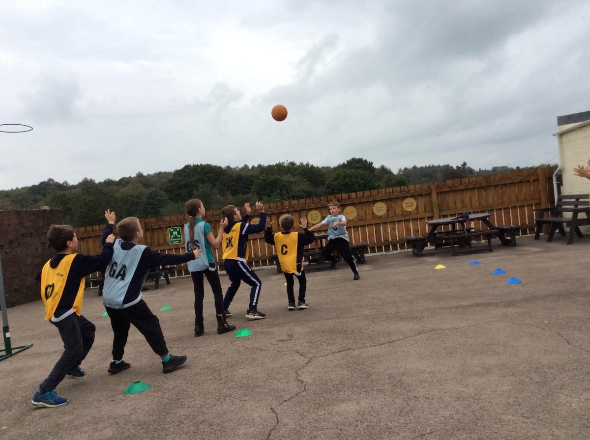 Sycamore - Netball