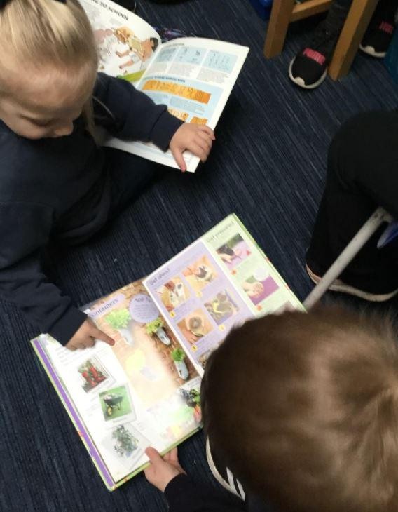 Choosing a book in the library 