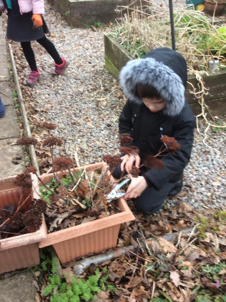 Safe use of tools