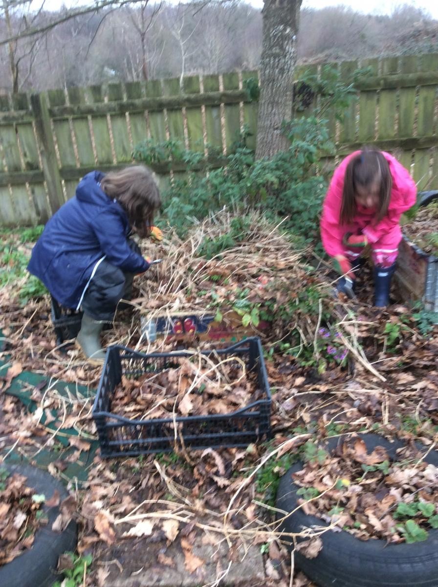 Pruning back the dead growth