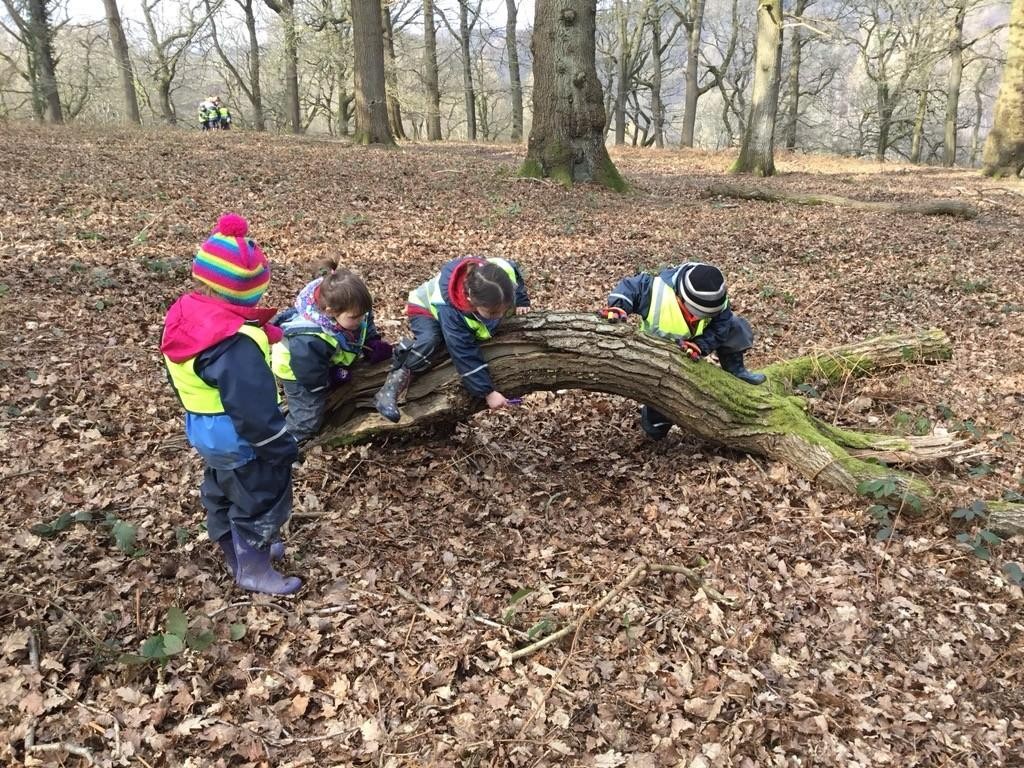 Child led learning on Forest Adventures!