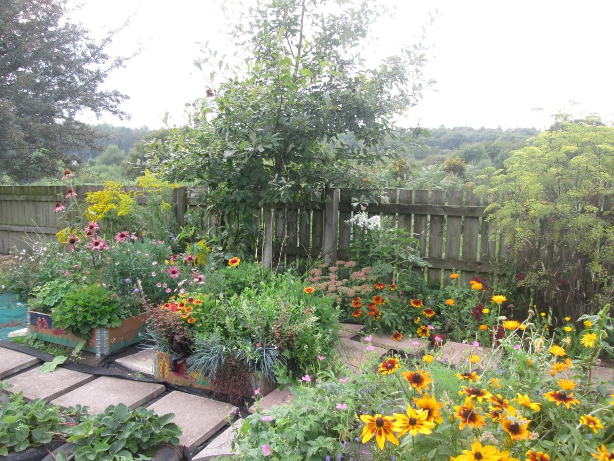 Quiet space in the garden