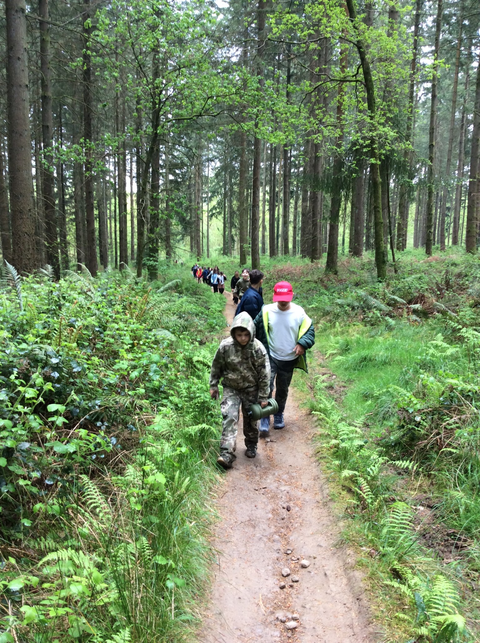 Summer 1 Forest school fun with Mrs Rees, Mrs Sheppard, and our fabulous parent volunteers.