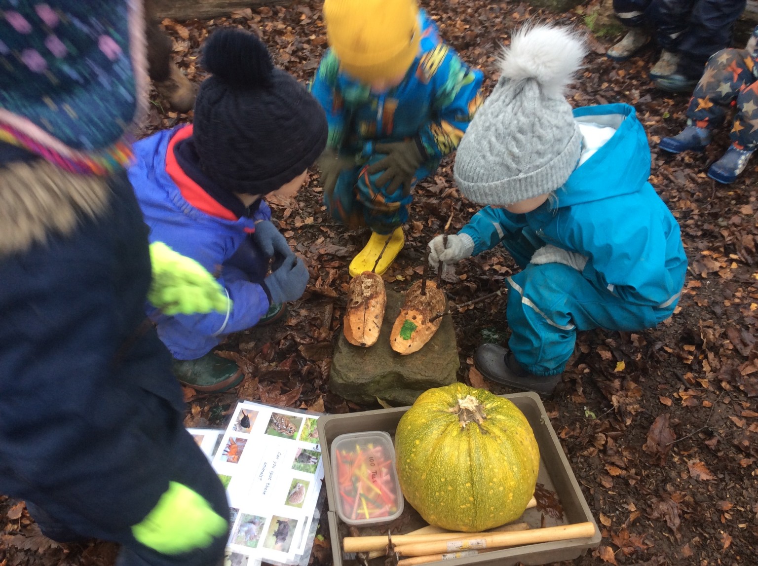 Pumpkin Soup