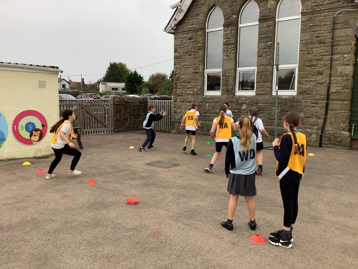 Willow - Netball