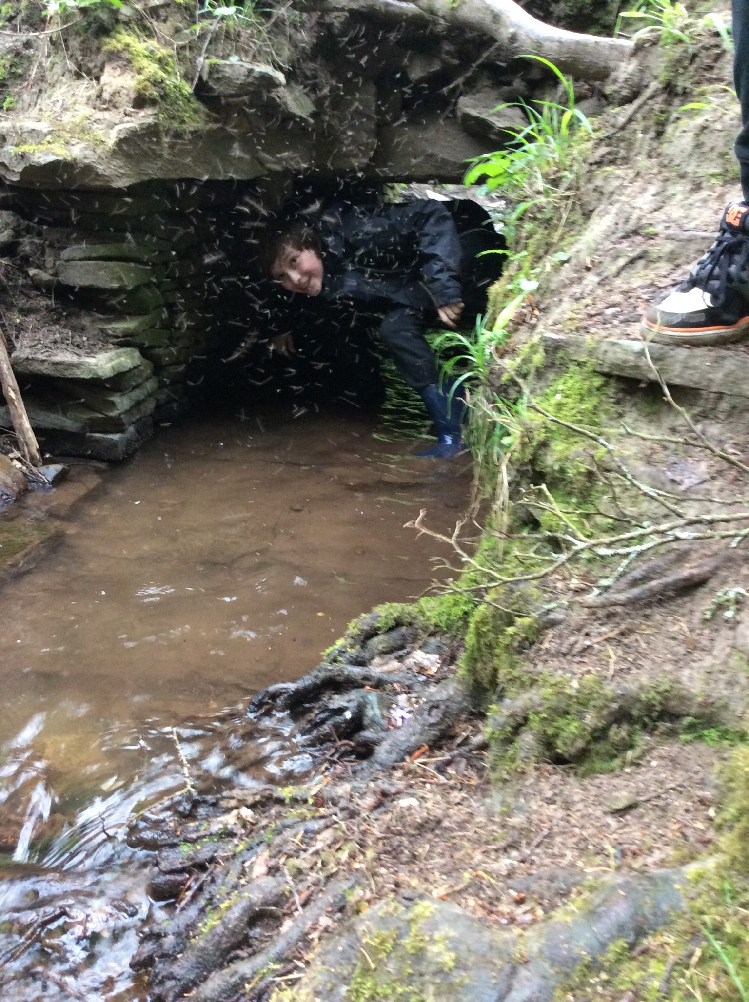 Summer 1 Forest school fun with Mrs Rees, Mrs Sheppard, and our fabulous parent volunteers.