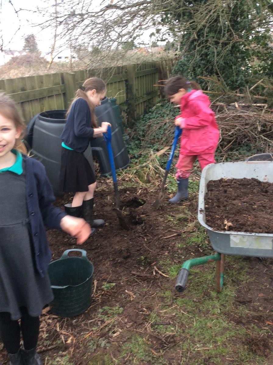 We topped up the raised beds with the rotted materials