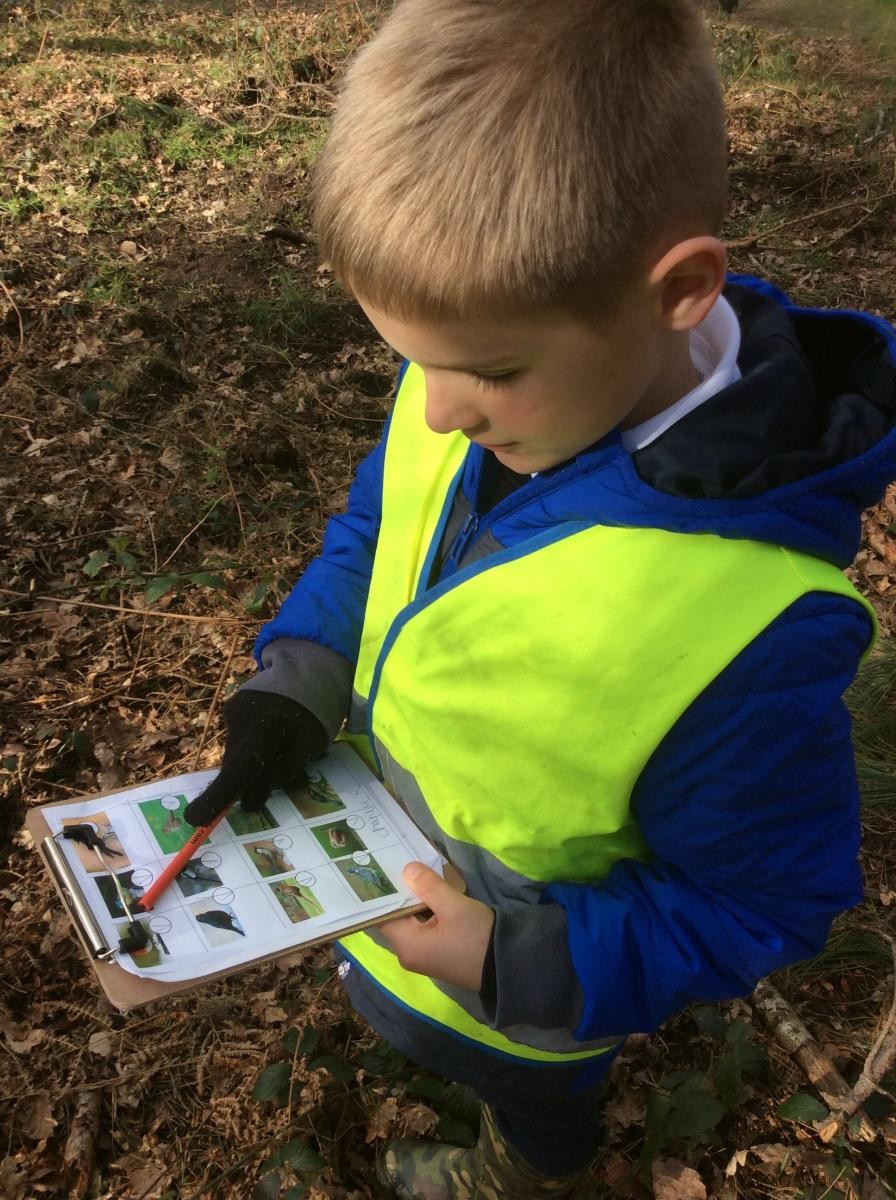 Bird spotter sheet