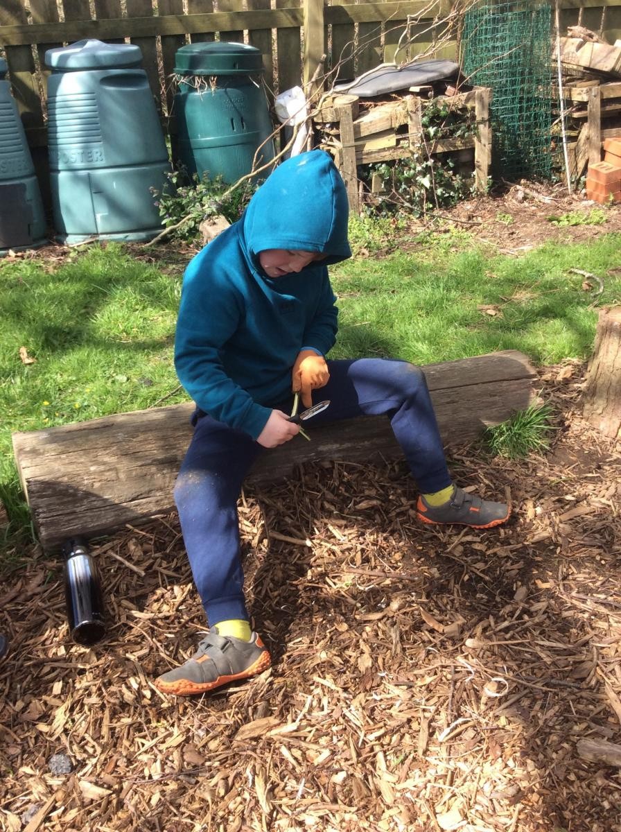 Whittling