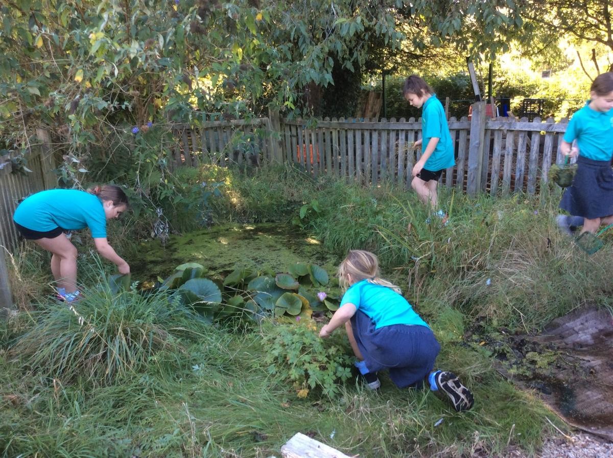 Clearing some of the pond debris.