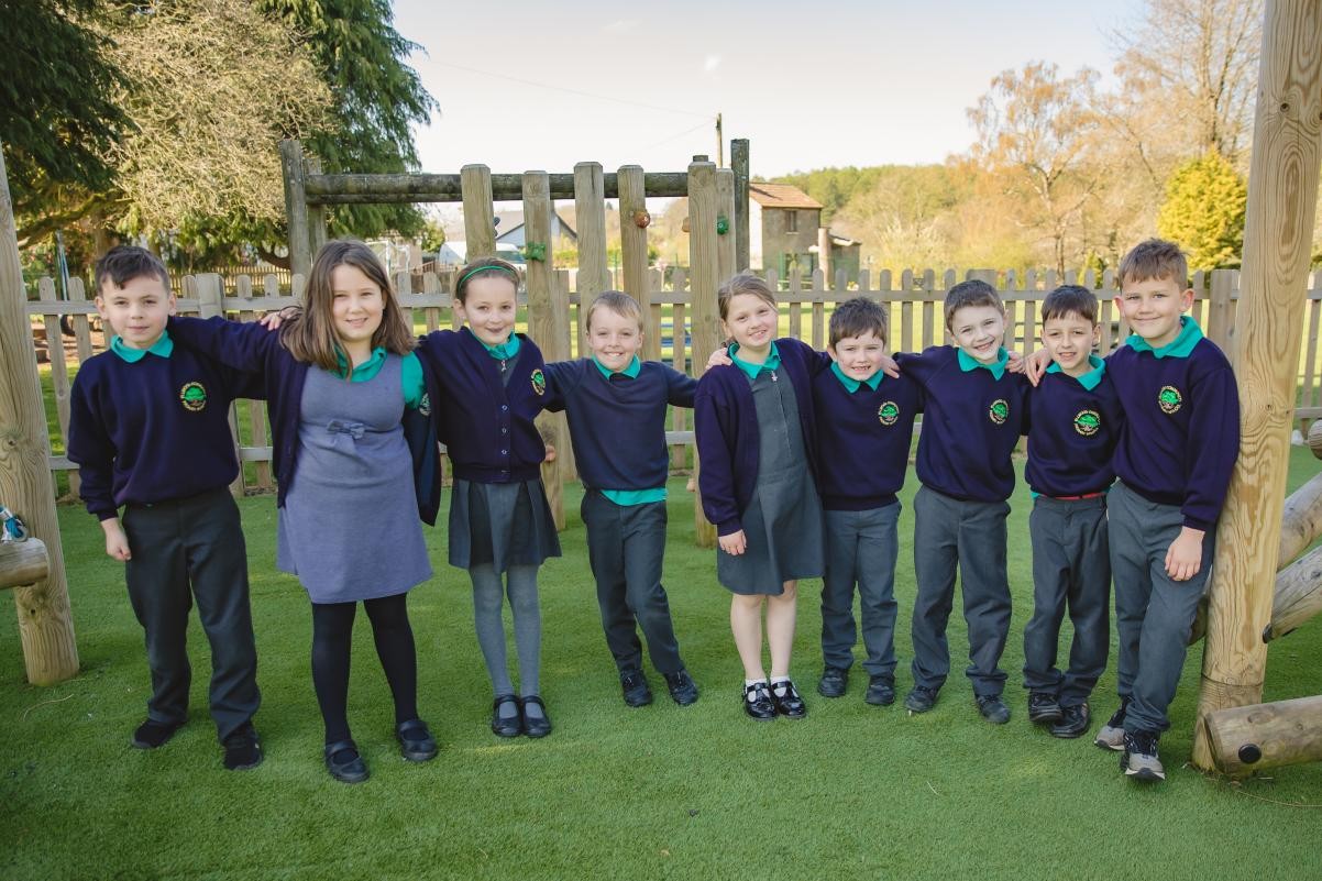 Ofsted 
"Pupil mentors support their peers to manage their feelings and emotions."